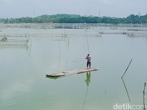 Rawa Jombor Klaten Ternyata Dulu Perkampungan, Ditenggelamkan Era Penjajahan