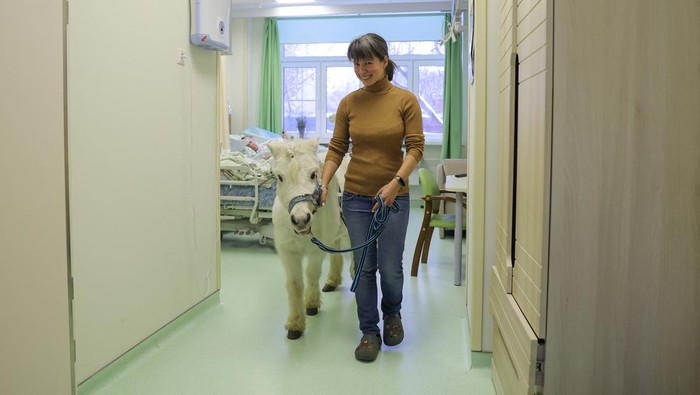 A patient strokes pony Dietrich led by volunteer Anastasia Kozyr at the Savyolovsky unit of a multi-profile palliative care centre in Moscow, Russia, December 14, 2023. Kozyr and her 23-year-old pony Dietrich have been visiting hospices for over a year, bringing some relief and spreading a little joy to patients who are in palliative care. REUTERS/Evgenia Novozhenina     TPX IMAGES OF THE DAY