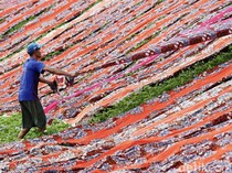 Melihat Penjemuran Kain Pantai di Sukoharjo