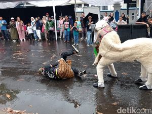 Momen Kemeriahaan Golek Festival Tasikmalaya