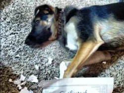 Deretan Momen Tak Terduga Bikin Geleng-geleng