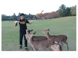 Deretan Momen Tak Terduga Bikin Geleng-geleng