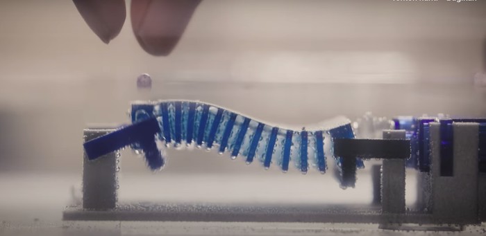 Robot untuk Atasi Mikroplastik yang terinspirasi dari siput