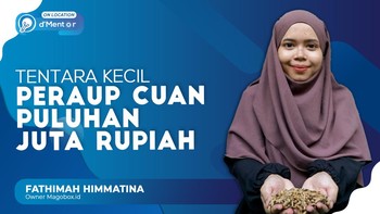 Belatung Pendulang Cuan Puluhan Juta Rupiah