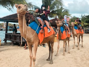 3 Lokasi Wisata Terfavorit di Lamongan Cocok untuk Libur Tahun Baru