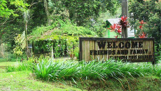 Kampoeng Pinus Sarangan.