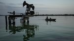 Kondisi Danau Terbesar di Amerika Latin yang Tercemar Minyak