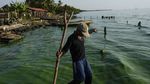 Kondisi Danau Terbesar di Amerika Latin yang Tercemar Minyak