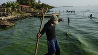 Nelayan kepiting berjalan di tepi Danau Maracaibo yang tercemar di Cabimas, di negara bagian Zulia, Venezuela, Kamis (28/12/2023). (AP Photo/Matias Delacroix)  