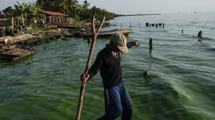 Kondisi Danau Terbesar di Amerika Latin yang Tercemar Minyak Oil floats on Lake Maracaibo behind a crab fisherman navigating near the La Salina crude oil shipping terminal in Cabimas, Zulia state, Venezuela, Thursday, Dec. 28, 2023. (AP Photo/Matias Delacroix)