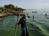 Kondisi Danau Terbesar di Amerika Latin yang Tercemar Minyak