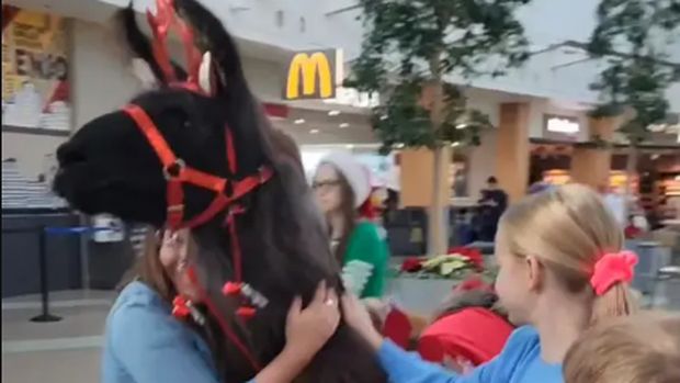 Llama dihadirkan di Bandara Internasional Portland, Amerika Serikat, untuk meredakan stres para traveler di musim liburan.