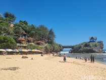 Hati-hati Dab! Ubur-ubur Beracun Bermunculan di 3 Pantai Gunungkidul