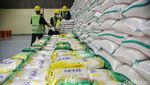 2024 Pasokan Beras Aman, Begini Kesibukan Bongkar Muat di Gudang Bulog