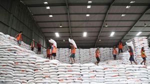 2024 Pasokan Beras Aman, Begini Kesibukan Bongkar Muat di Gudang Bulog