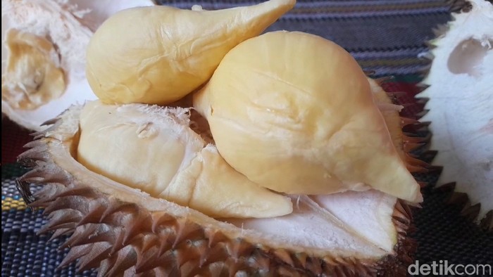 Durian sitokong di Kebun Durian Antap Sari, Desa Rajawetan, Kecamatan Tonjong, Kabupaten Brebes, Sabtu (30/12/2023).