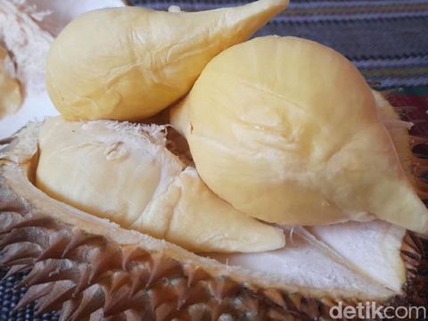 Durian sitokong di Kebun Durian Antap Sari, Desa Rajawetan, Kecamatan Tonjong, Kabupaten Brebes, Sabtu (30/12/2023).