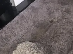 Awas! Foto Ini Bisa Kecoh Mata Meski Tanpa Editan Photoshop