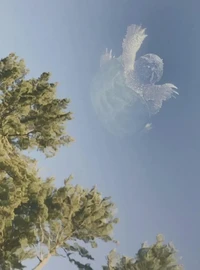 Foto mengecoh mata