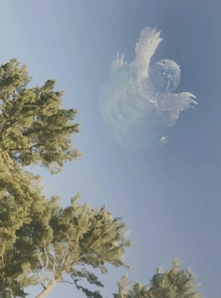 Foto mengecoh mata
