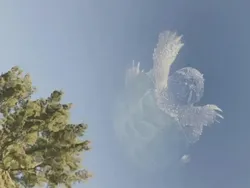 Awas! Foto Ini Bisa Kecoh Mata Meski Tanpa Editan Photoshop