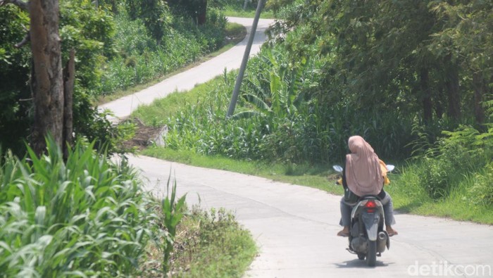 Penampakan ruas jalan Randublatung-Getas, Sabtu (30/12/2023).