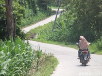 Mulusnya Jalan Randublatung-Getas di Blora, Pengendara: Serasa di Tol