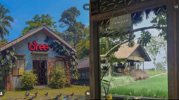 kuliner bogor