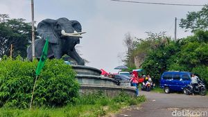 Menengok Pasar Tumpah di Lahan Kampung Gajah yang Telah Mati