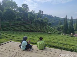 16 Objek Wisata di Blitar Diprediksi Ramai Saat Libur Tahun Baru