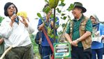 KLHK Tanam Pohon Serentak di 38 Provinsi Indonesia