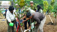 Menteri Siti sendiri memimpin pelaksanaan penanaman yang dilakukan di Cisarua, Bogor, Jawa Barat. Ada 200 bibit pohon yang ditanam pada kesempatan tersebut, yaitu rasamala 75 batang, damar 25 batang, salam 20 batang, nangka 20 batang, bisbul 20 batang, buni 20 batang, dan kemang 20 batang.