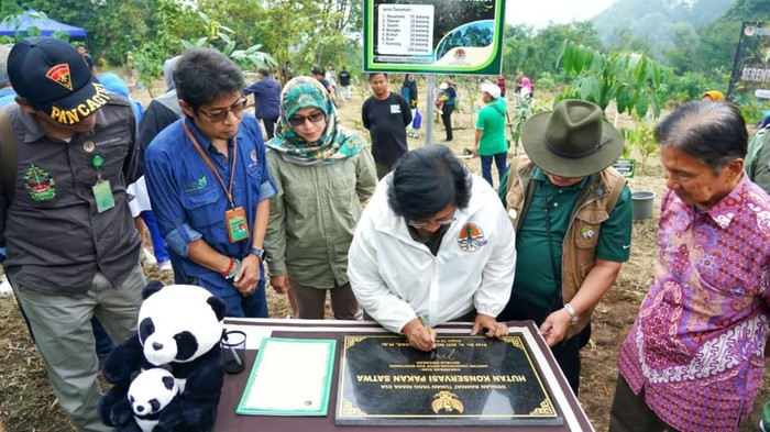 KLHK Tanam Pohon Serentak di 38 Provinsi Indonesia Dalam sejumlah kesempatan, Presiden Republik Indonesia Joko Widodo mengajak seluruh masyarakat untuk melakukan penanaman pohon di sepanjang musim penghujan 2023/2024. Menindaklanjuti arahan tersebut, Kementerian Lingkungan Hidup dan Kehutanan (KLHK) melakukan penanaman pohon serentak di seluruh Indonesia. Penanaman dilaksanakan pada hari Sabtu, 30 Desember 2023 yang dipimpin oleh pejabat KLHK Pusat dan Daerah, serta melibatkan staf UPT KLHK, Dinas LHK, Aparatur Sipil Negara, dan masyarakat umum/keluarga ASN.