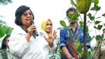 KLHK Tanam Pohon Serentak di 38 Provinsi Indonesia