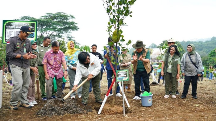 KLHK Tanam Pohon Serentak di 38 Provinsi Indonesia Dalam sejumlah kesempatan, Presiden Republik Indonesia Joko Widodo mengajak seluruh masyarakat untuk melakukan penanaman pohon di sepanjang musim penghujan 2023/2024. Menindaklanjuti arahan tersebut, Kementerian Lingkungan Hidup dan Kehutanan (KLHK) melakukan penanaman pohon serentak di seluruh Indonesia. Penanaman dilaksanakan pada hari Sabtu, 30 Desember 2023 yang dipimpin oleh pejabat KLHK Pusat dan Daerah, serta melibatkan staf UPT KLHK, Dinas LHK, Aparatur Sipil Negara, dan masyarakat umum/keluarga ASN.