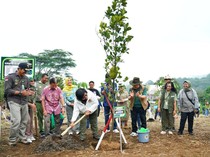 KLHK Tanam Pohon Serentak di 38 Provinsi Indonesia