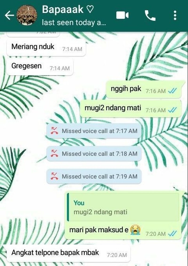 Kumpulan Chat WA Typo
