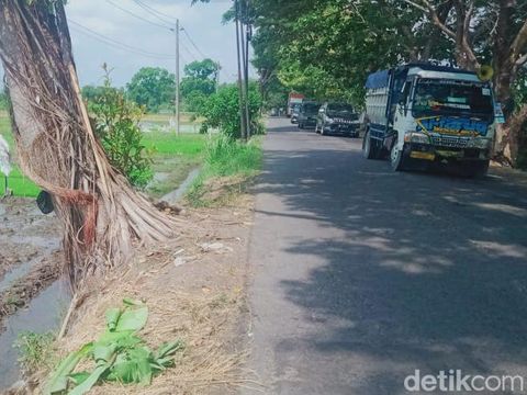 Lokasi penemuan mayat wanita lansia di tepi jalan Karangdowo-Pedan, Kabupaten Klaten, Sabtu (30/12/2023) pagi.