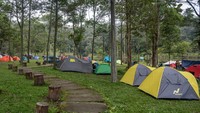 Kawasan wisata alam yang berada di Taman Nasional Lore Lindu dan cagar biosfer dunia itu ramai dikunjungi warga saat libur akhir pekan dan meningkat selama liburan Natal dan Tahun Baru 2024. 