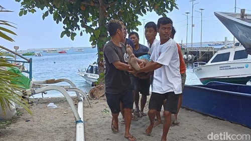 Proses evakuasi wisatawan asal Jogja yang tewas setelah berenang di Gili Air, Lombok.