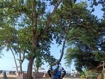 Asyiknya Jalan-jalan Santai di Pantai Sanur