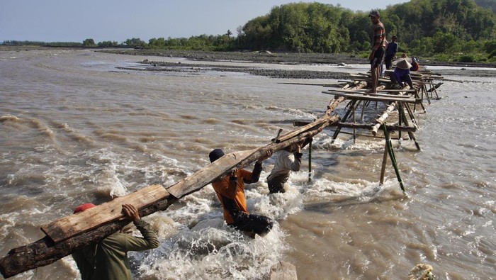 Sejumlah warga mengangkat kayu untuk dipasang di jembatan kayu yang rusak di daerah aliran sungai (DAS) Gunung Semeru, Desa Lebakharjo, Ampelgading, Malang, Jawa Timur, Sabtu (30/12/2023). Jembatan swadaya masyarakat sepanjang 100 meter yang digunakan sebagai jalan alternatif antar desa itu dapat memotong jarak tempuh hingga 14 kilometer, rusak akibat diterjang arus sungai setelah hujan. ANTARA FOTO/Irfan Sumanjaya/Spt.