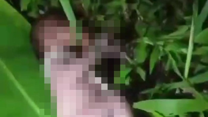 Bayi yang ditemukan di kebun beralas daun pisang usai dilahirkan ibunya yang masih berusia 16 tahun.