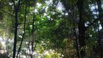 Magis! Pagi Terakhir Tahun 2023 di Hutan Kota UI