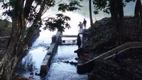 Area di sekitar hutan UI juga menjadi favorit warga untuk mengisi hari terakhir 2023. Area hutan UI yang ada di depan Fakultas Teknik dan dekat dengan Wisma Makara itu menjadi favorit komunitas sepeda, karena memiliki dua; trek mangkuk dan trek nyamuk. Selain bersepeda, kegiatan lain yang dapat dilakukan adalah jogging, atau sekedar berjalan-jalan menikmati angin yang sejuk di hutan kota UI.
