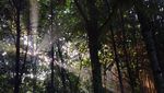 Magis! Pagi Terakhir Tahun 2023 di Hutan Kota UI