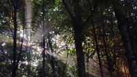 Hijaunya Hutan Kota UI juga didukung air dari enam danau besar. Enam danau tersebut tersebar di Kampus UI Depok dan inisial namanya membentuk kata Kampus. Keenamnya adalah Danau Kenanga, Danau Agathis, Danau Mahoni, Danau Puspa, Danau Ulin, Danau Salam.