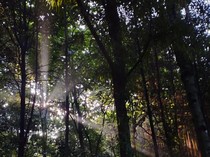 Magis! Pagi Terakhir Tahun 2023 di Hutan Kota UI