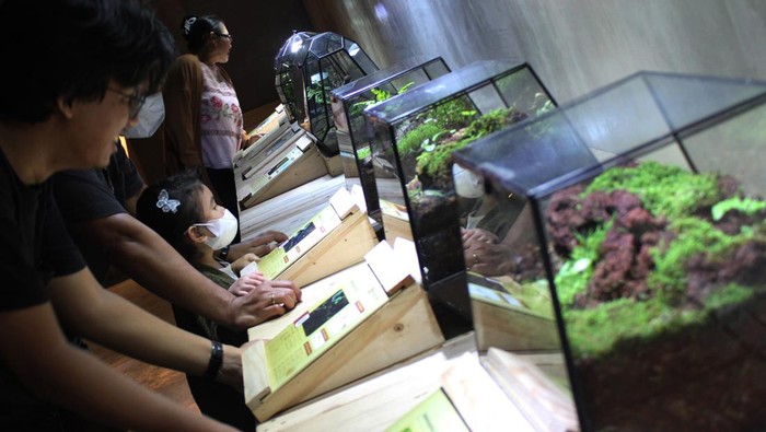 Seorang anak melihat informasi mengenai berbagai satwa di Animalium BRIN, Cibinong, Jawa Barat, Sabtu (30/12/2023). Animalium BRIN mengusung konsep edukasi dan wisata yang menghadirkan ratusan satwa liar mulai dari jenis burung, ikan, serangga, mamalia, hingga reptil di atas lahan seluas 1,5 hektar. ANTARA FOTO/Rina Nur Anggraini/wpa/Spt.