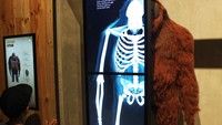 Animalium BRIN mengusung konsep edukasi dan wisata yang menghadirkan ratusan satwa liar mulai dari jenis burung, ikan, serangga, mamalia, hingga reptil di atas lahan seluas 1,5 hektar. 